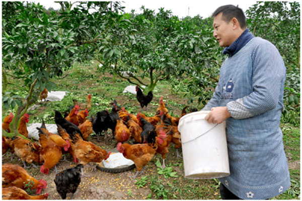 孙波：情系内江漏棚湾村 助力乡村振兴